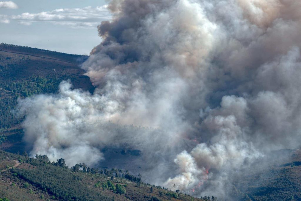 Wildfire Smoke