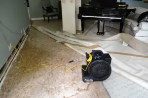 Drying carpet for water damage