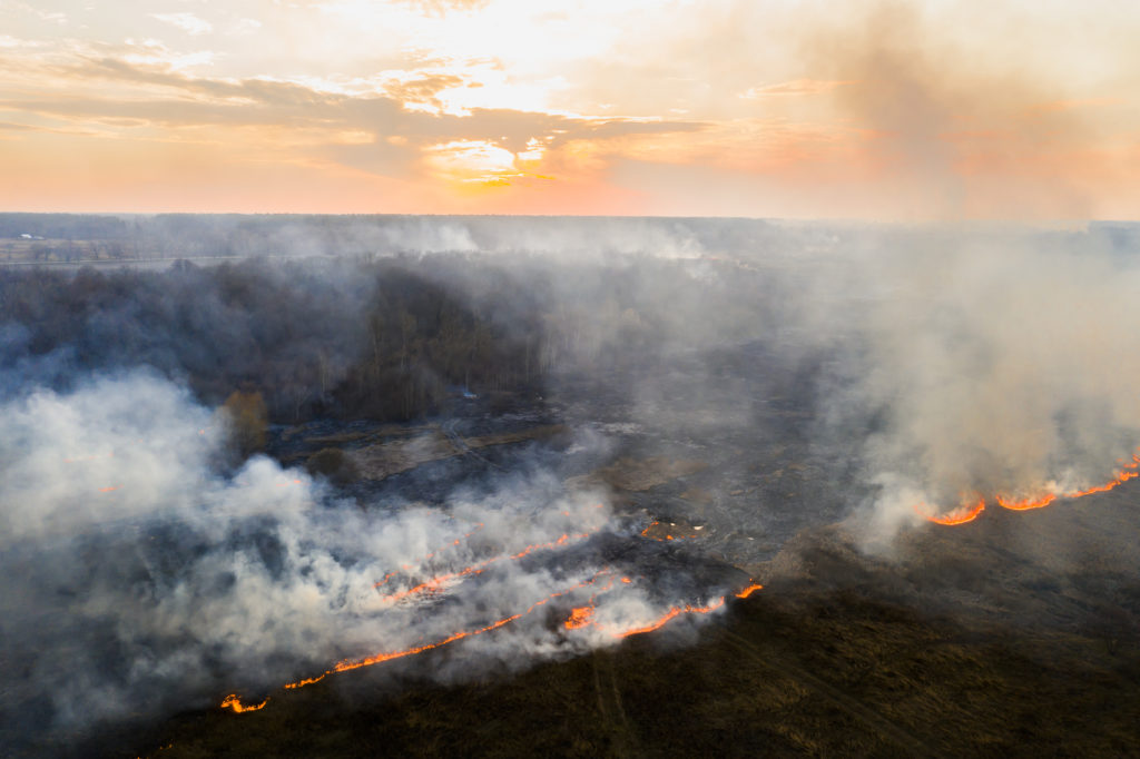 Aerial view of wildfire on the field. Huge clouds of smoke.